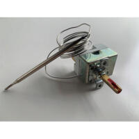 Blizzard B3-ZEG550F015 Thermostat