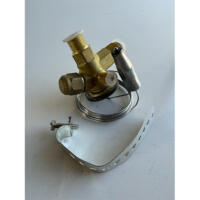Danfoss TEX 2 Thermal Expansion Valve R22