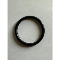 Drain O Ring Nelson 500DP